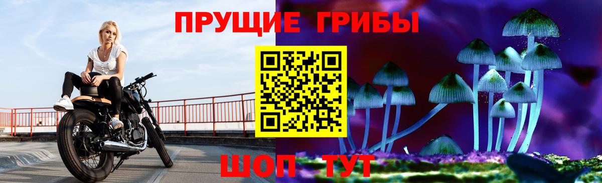 Артёмовский  Псилоцибиновые грибы мицелий  Вход с VPN 